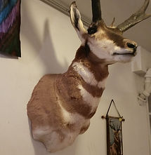 Estate sale display set up by Aces Estate Sales — photo 38 of 40